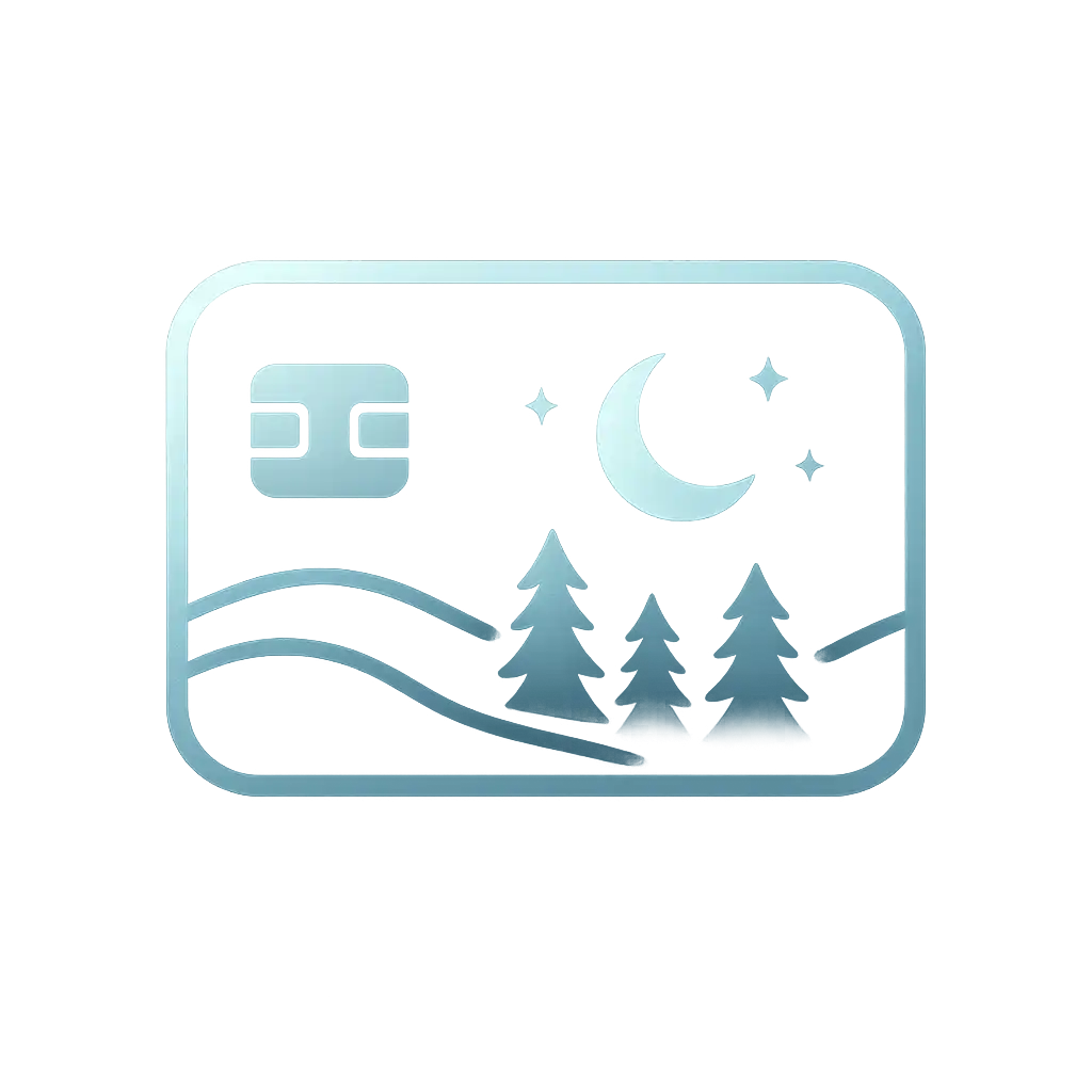 Visa payment icon